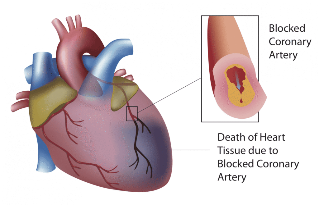 ximage07 png pagespeed ic qdpwphpxjw